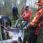 Dagen innan älgjakten har jägarna i Nordmark möjlighet att gå på älgjaktsgudstjänst. Arkivfoto: Lars-Henrik Andersson