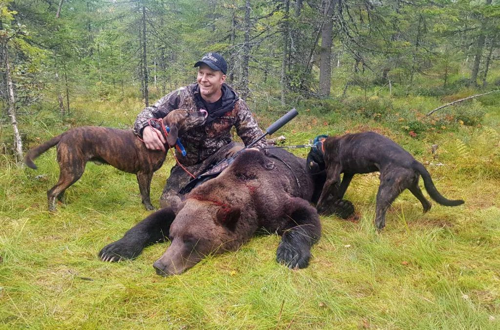 Björnjakten avlyst i Värmland en björn för mycket fälldes Svensk Jakt