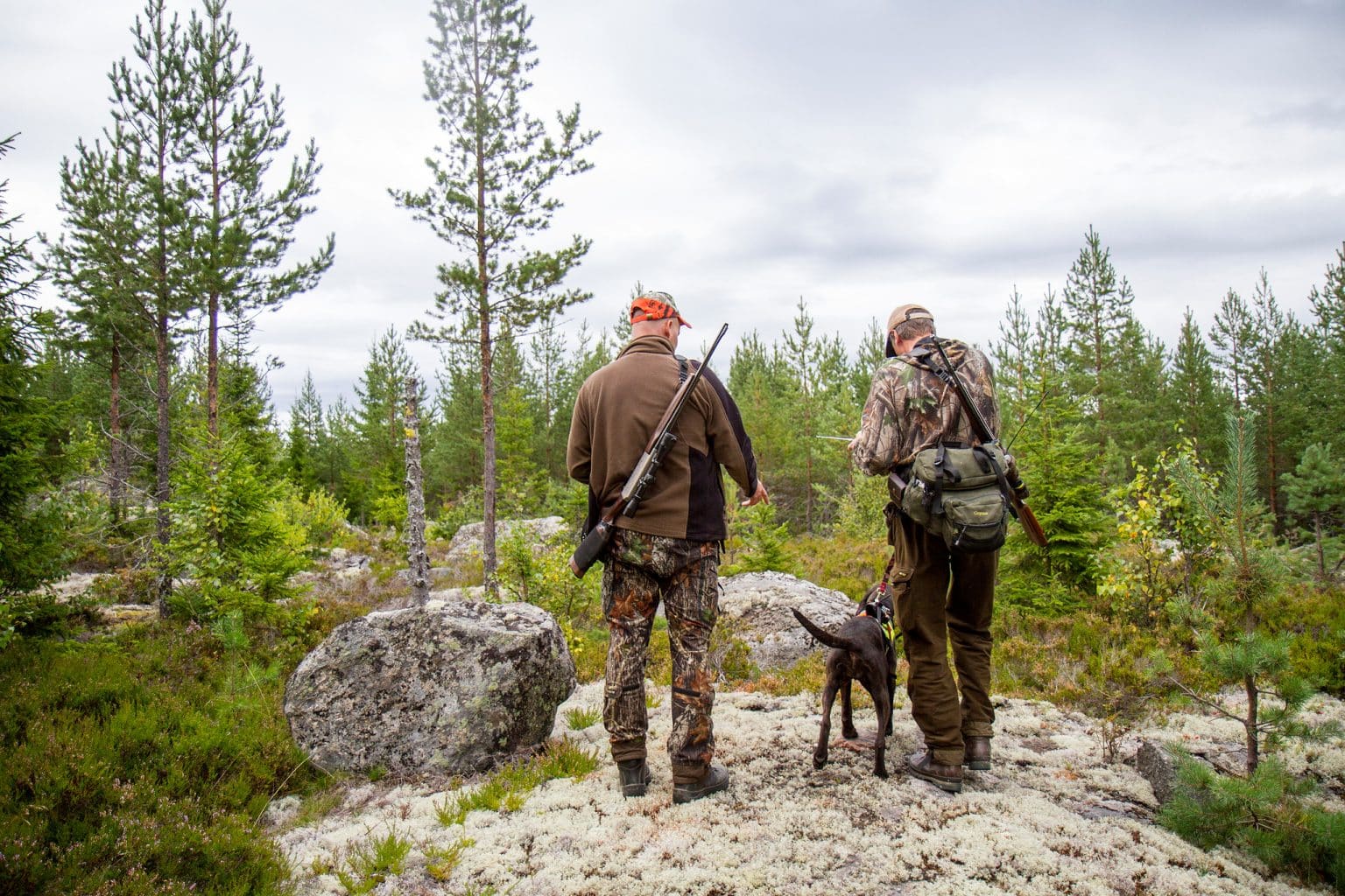 Blixtsnabb björnjakt i Dalarna och Gävleborg Svensk Jakt