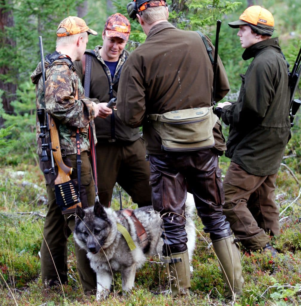 Avslutad björnjakt i Norrbotten Svensk Jakt