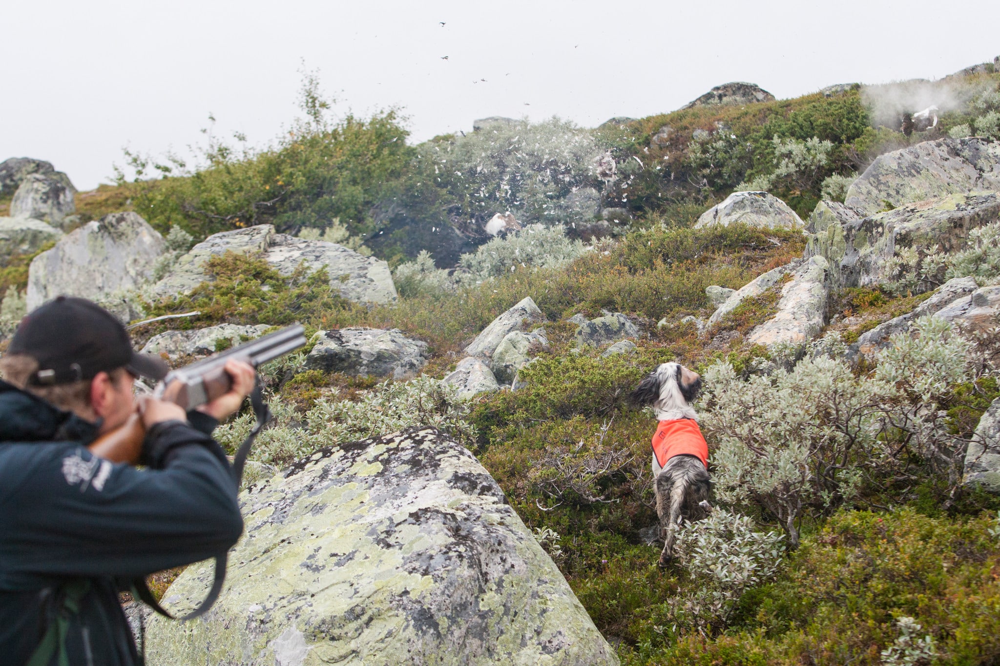 Utländska medborgare som vill jaga på renbetesfjällen efter 1 april 2017 ska skicka in dokumentation som visar att de uppfyller något av kraven för nära anknytning. Foto: Kjell-Erik Moseid