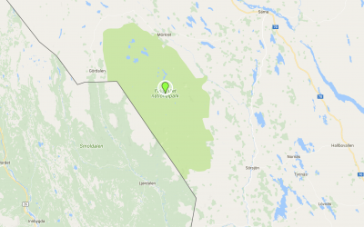 Vargen hittades i närheten av Fulufjället.