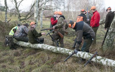 Utbildningen till jaktguide vid ForshagaAkademien får fortsätta som yrkeshögskola. Foto: Jan Henricson