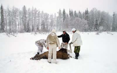 Älgjakt vintertid skapar debatt bland jägarna vad gäller etiken. Foto: Lars-Henrik Andersson