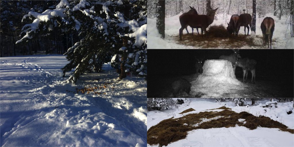 Jägarnas årliga viltvårdsinsatser uppgår till miljonbelopp. Foto: Privat