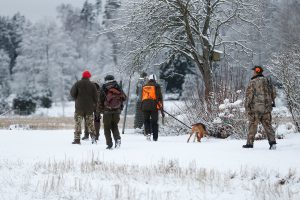 Hundföraren Anna Green tar med sig en grupp jägare till där hon ska släppa sin stövare. Foto: Boo Gunnarsson