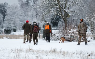 Hundföraren Anna Green tar med sig en grupp jägare till där hon ska släppa sin stövare. Foto: Boo Gunnarsson