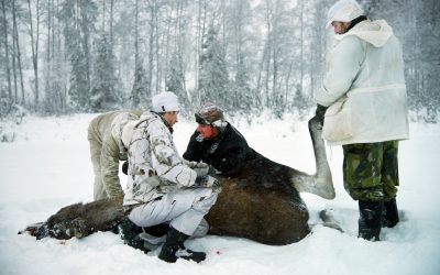 Vinterjakt på älg. Foto: Lars-Henrik Andersson