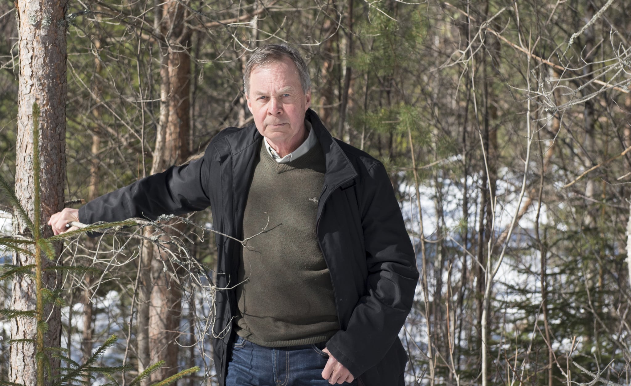 Efter att vetenskapligt ha undersökt vilka kostnader sågverk och skogsägare får idag för viltskador som uppstod för 25 år sedan drar Karl Hedin slutsatsen att det behövs ett nytt älgjaktsystem. 