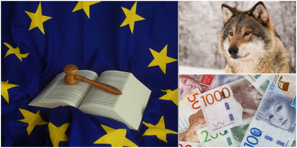 Det skattefinansierade projektet ”Claws and laws” har nu lämnat sin slutrapport.