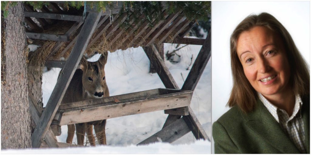 Jägarnas riksförbunds ordförande Solveig Larsson menar att stödutfodring stressar viltet mer än vad det hjälper.