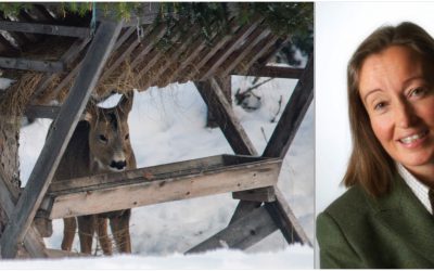 Jägarnas riksförbunds ordförande Solveig Larsson menar att stödutfodring stressar viltet mer än vad det hjälper.