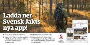 Svensk Jakts nya app finns för gratis nedladdning.
