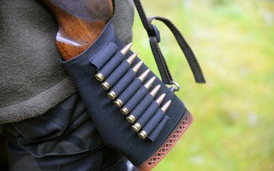 Björnjakten har för andra gången avslutats i Gävleborgs västra del.