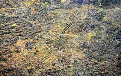 Den allt mer omfattande terrängkörningen på barmark lämnar svårläkta körspår, bland annat på myrmarker, i sluttande terräng, över bäckar och på kalfjäll. Foto: Länsstyrelsen