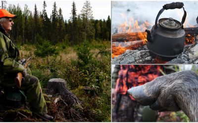 Foto: Lars-Henrik Andersson & Mostphotos