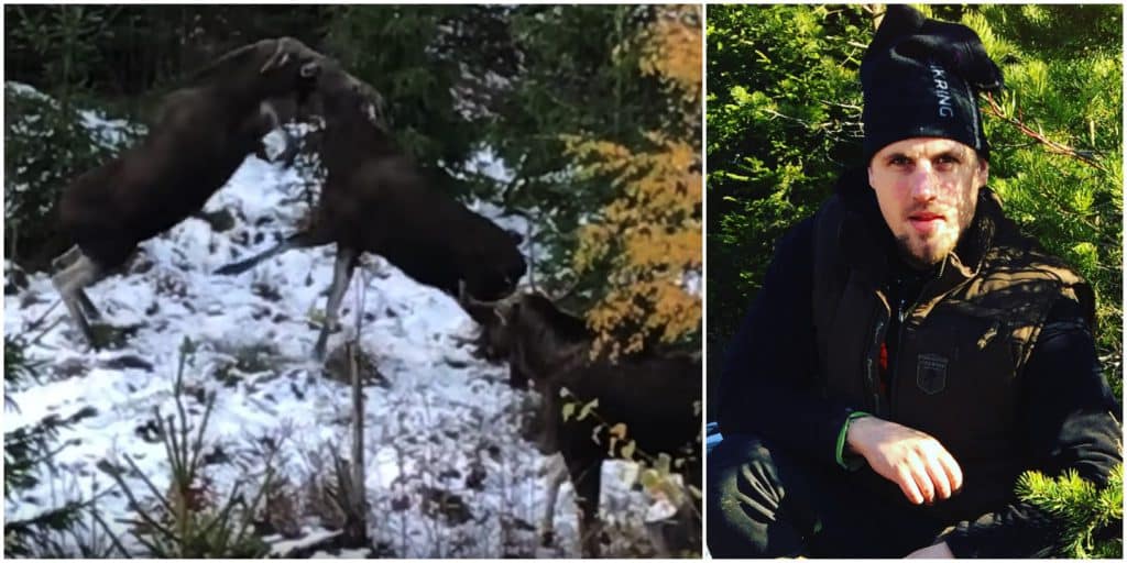 Jägaren Fredrik Nådin fick nöja sig med att filma sju älgar samtidigt från sitt pass.