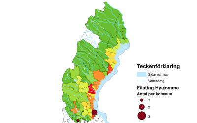 Insamlingar av fästingar norr om Dalälven.