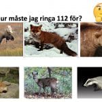Med många bilder görs informationsmaterialet lättillgängligt för den som inte kan mycket svenska, eller som till och med inte kan läsa.