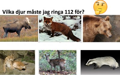 Med många bilder görs informationsmaterialet lättillgängligt för den som inte kan mycket svenska, eller som till och med inte kan läsa.