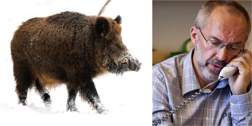 Kenneth Skoglund om kulvalet vid vildsvinsjakt.