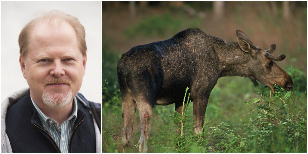 Petter Kjellander, professor vid institutionen för ekologi vid Grimsö forskningsstation är mycket kritisk till de slutsatser som Skogsstyrelsen kommer fram till. Foto: Jan Henricson & Kenneth Johansson