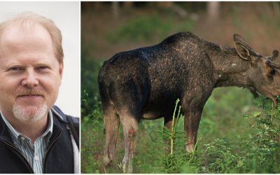 Petter Kjellander, professor vid institutionen för ekologi vid Grimsö forskningsstation är mycket kritisk till de slutsatser som Skogsstyrelsen kommer fram till. Foto: Jan Henricson & Kenneth Johansson