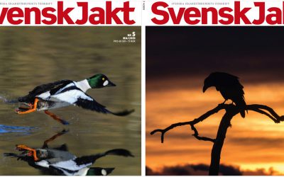 I Sverige uppmärksammas Pressfrihetens dag bland annat av Pressbyrån och de tidningstitlar som säljs där, däribland Svensk Jakt.