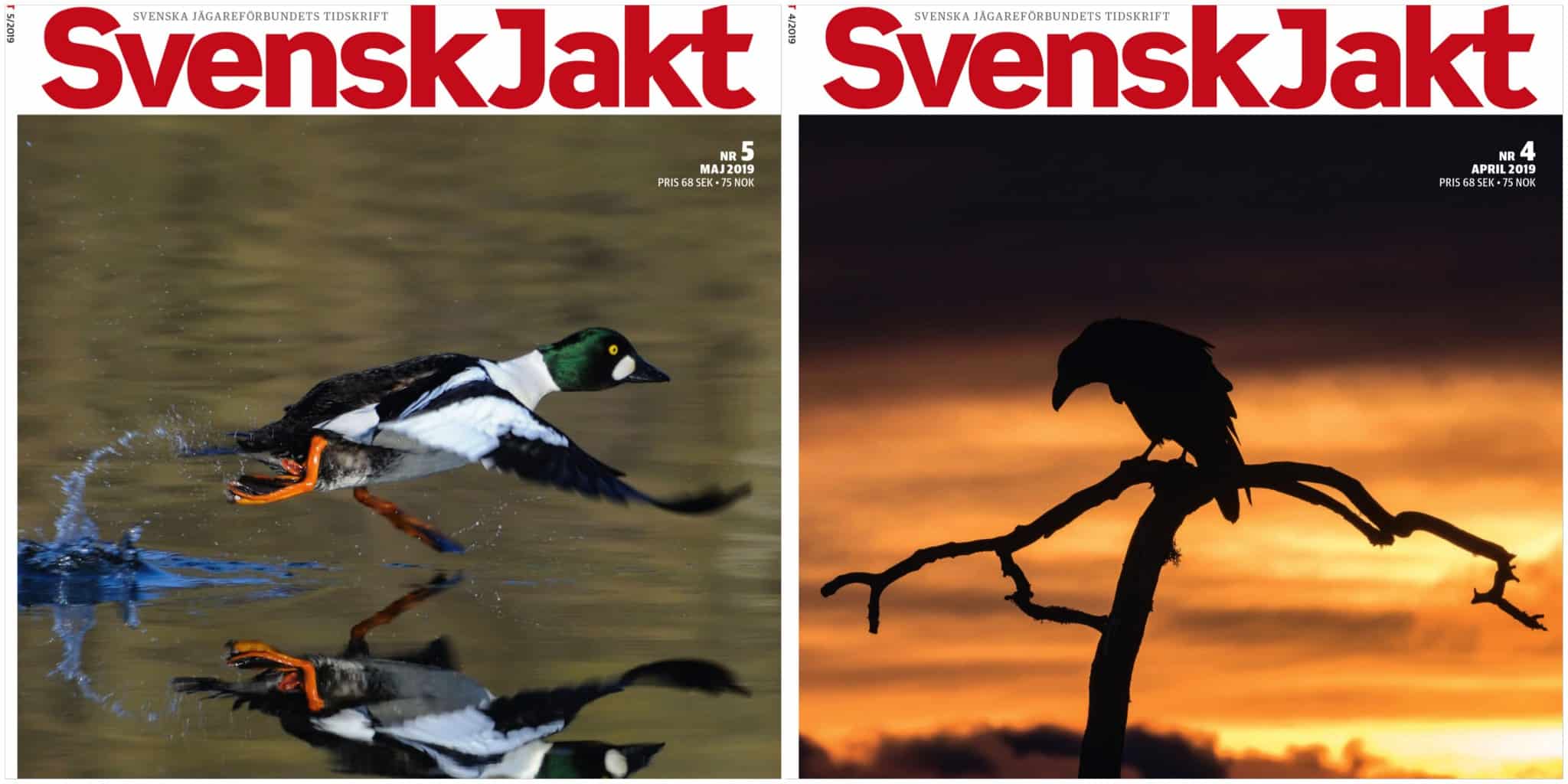 I Sverige uppmärksammas Pressfrihetens dag bland annat av Pressbyrån och de tidningstitlar som säljs där, däribland Svensk Jakt.