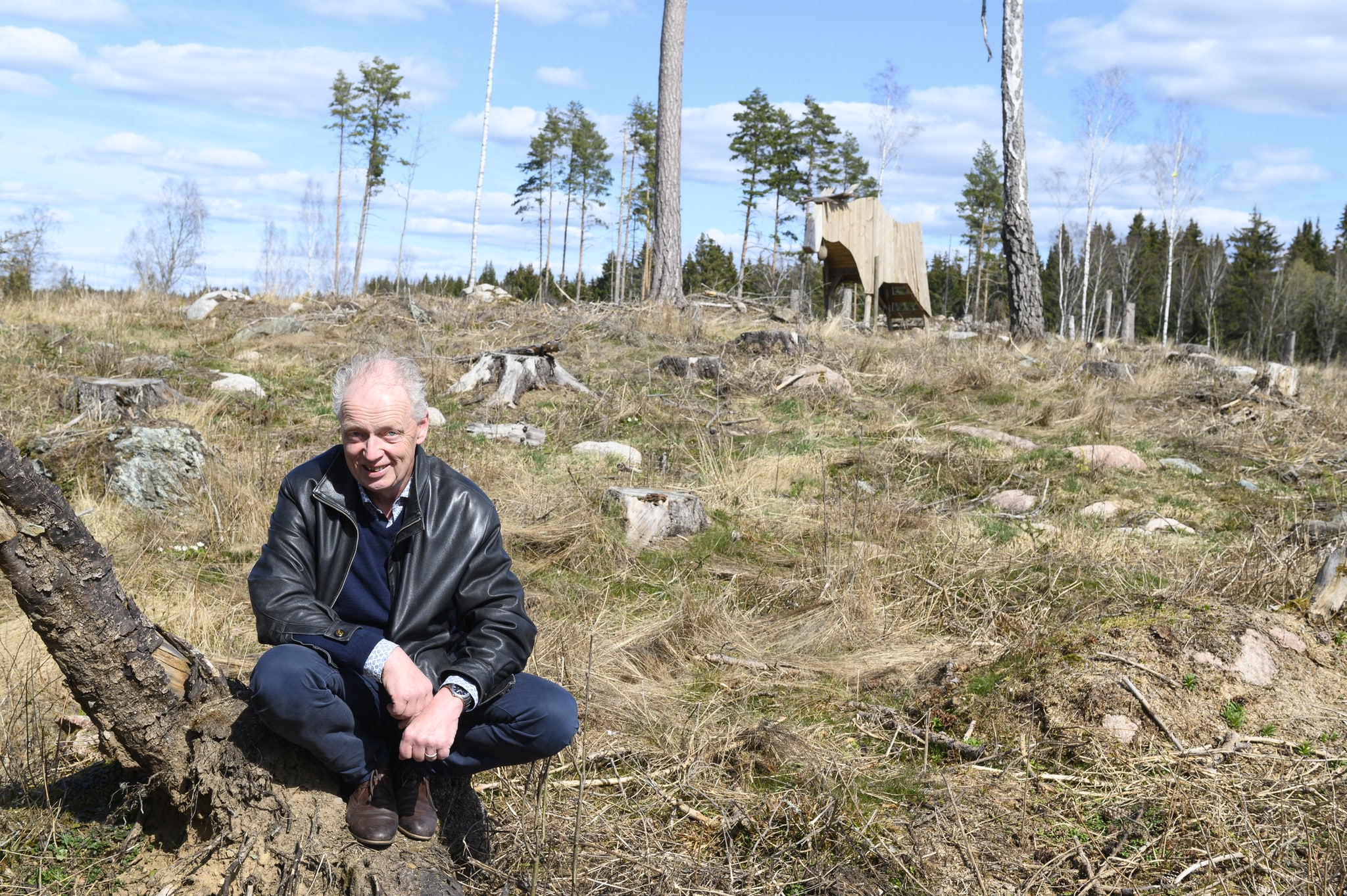 Kjell Hellqvist äger marken och jagar själv älg. Trots att han föredrar att gå med sina hundar kan han uppskatta sina danska gästers älgtornsbygge.