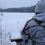 Blir det någon vargjakt i vinter efter två års väntan? Snart kommer ett besked.