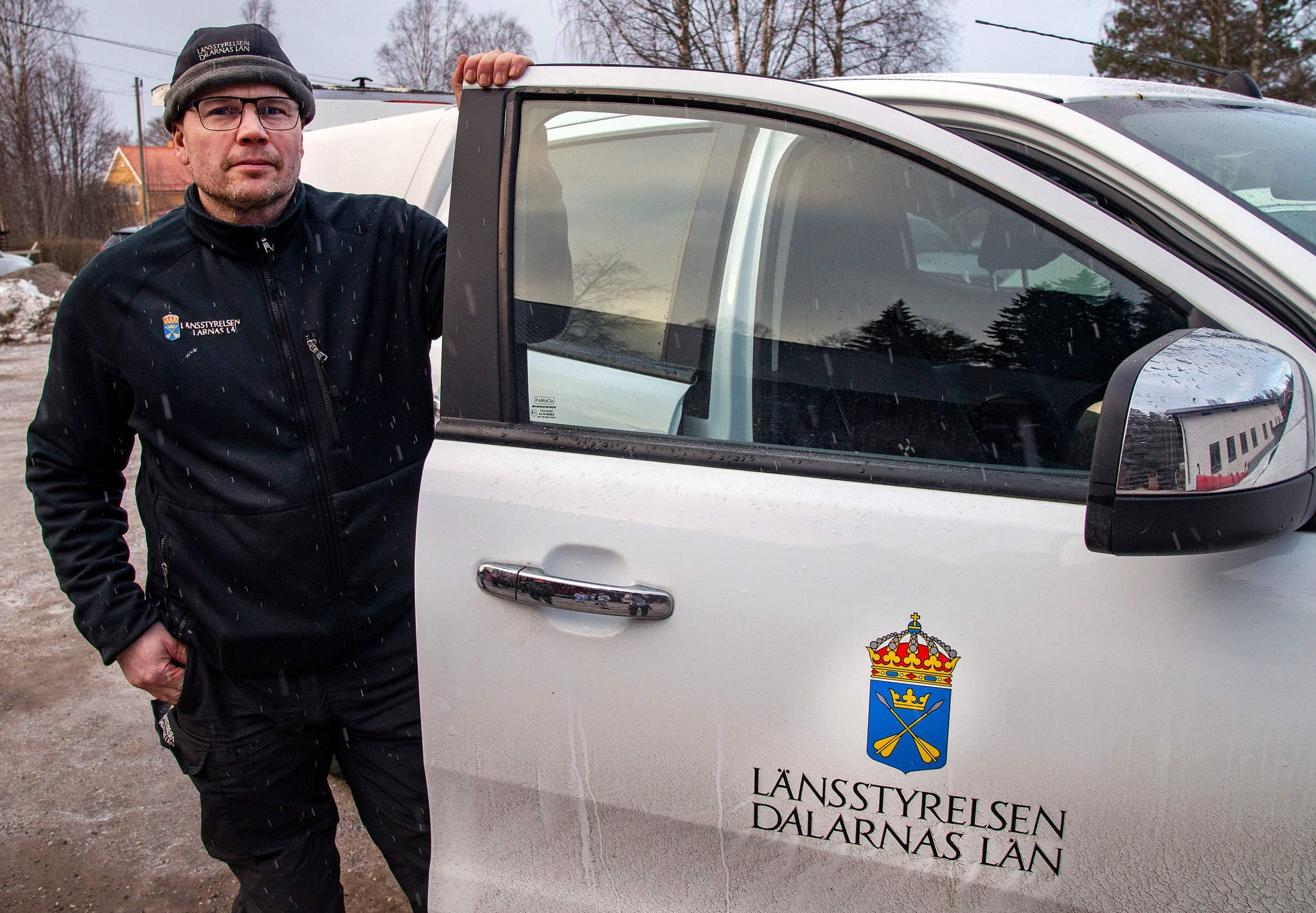 Fredrik Perols, naturbevakare i Dalarna, bekräftar att det finns minst 17 vargar i reviren Snösjön och Haraldsjön. Under licensjakten får tolv vargar fällas.