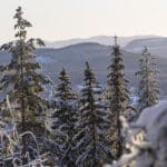 Vinter