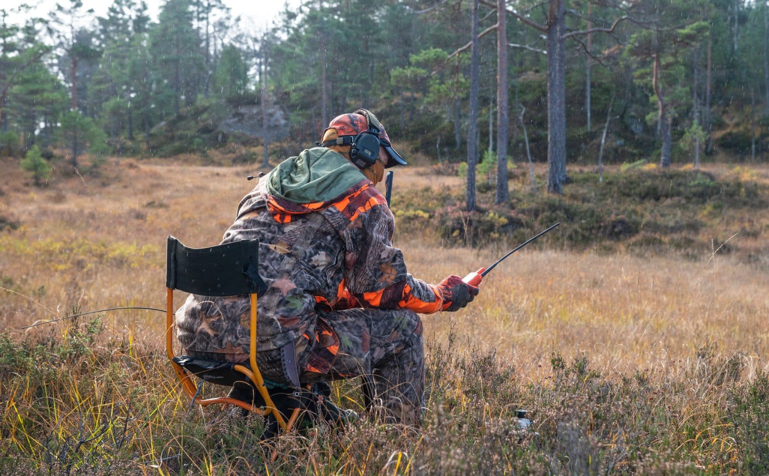 Ett Försök Att återskapa Vild Natur Ledde Till Svält Och Massdöd Svensk Jakt 0643