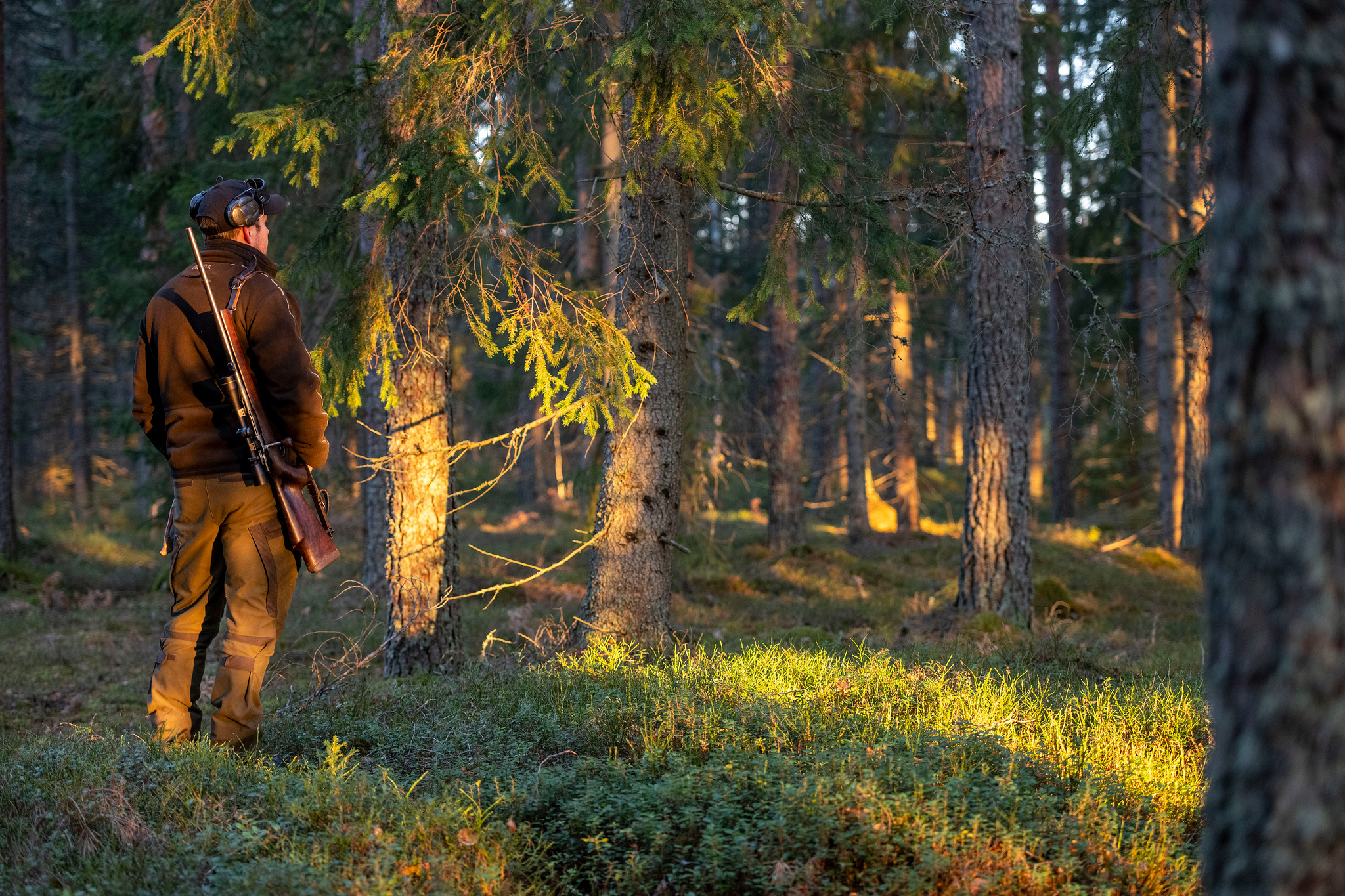 Inflyttade jägare från de nordiska grannländerna behöver enligt Naturvårdsverket inte avlägga svensk jägarexamen för att få vapenlicens i Sverige. Numera vet även Polisen det.