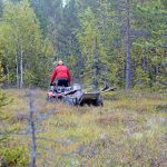 Skydd av mark och vegetation i ett fjällområde går före en renskötande samebymedlems möjlighet att nyttja sin jakträtt, anser förvaltningsrätten i en dom.