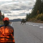 Tack vare de moderna hundpejlarna kan vi jägare rädda hunden om den till exempel är på väg mot en trafikerad väg, förklarar insändarskribenten.