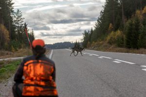 Tack vare de moderna hundpejlarna kan vi jägare rädda hunden om den till exempel är på väg mot en trafikerad väg, förklarar insändarskribenten.