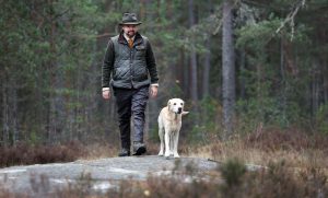 Landsbygdsminister Peter Kullgren (KD) har tillsammans med sina kolleger i Finland och Österrike stridit hårt för att vargen ska gå från att vara en strikt skyddad art till skyddad art i Bernkonventionens art- och habitatdirektiv. På Bernkonventionens möte i december kommer troligen beslut om ändring.