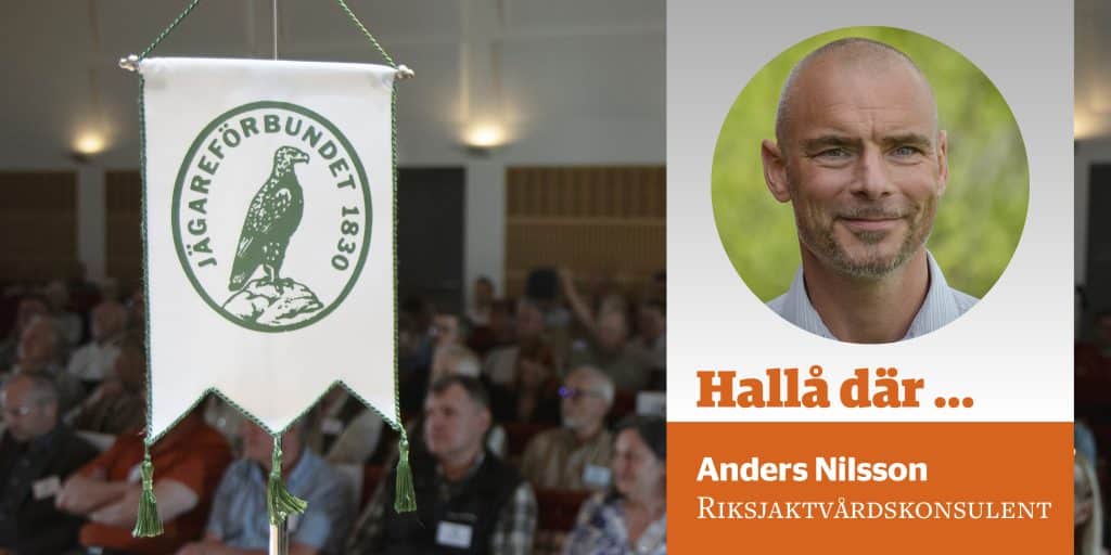 Anders Nilsson. Foto: Lars Nilsson & Madeleine Lewander