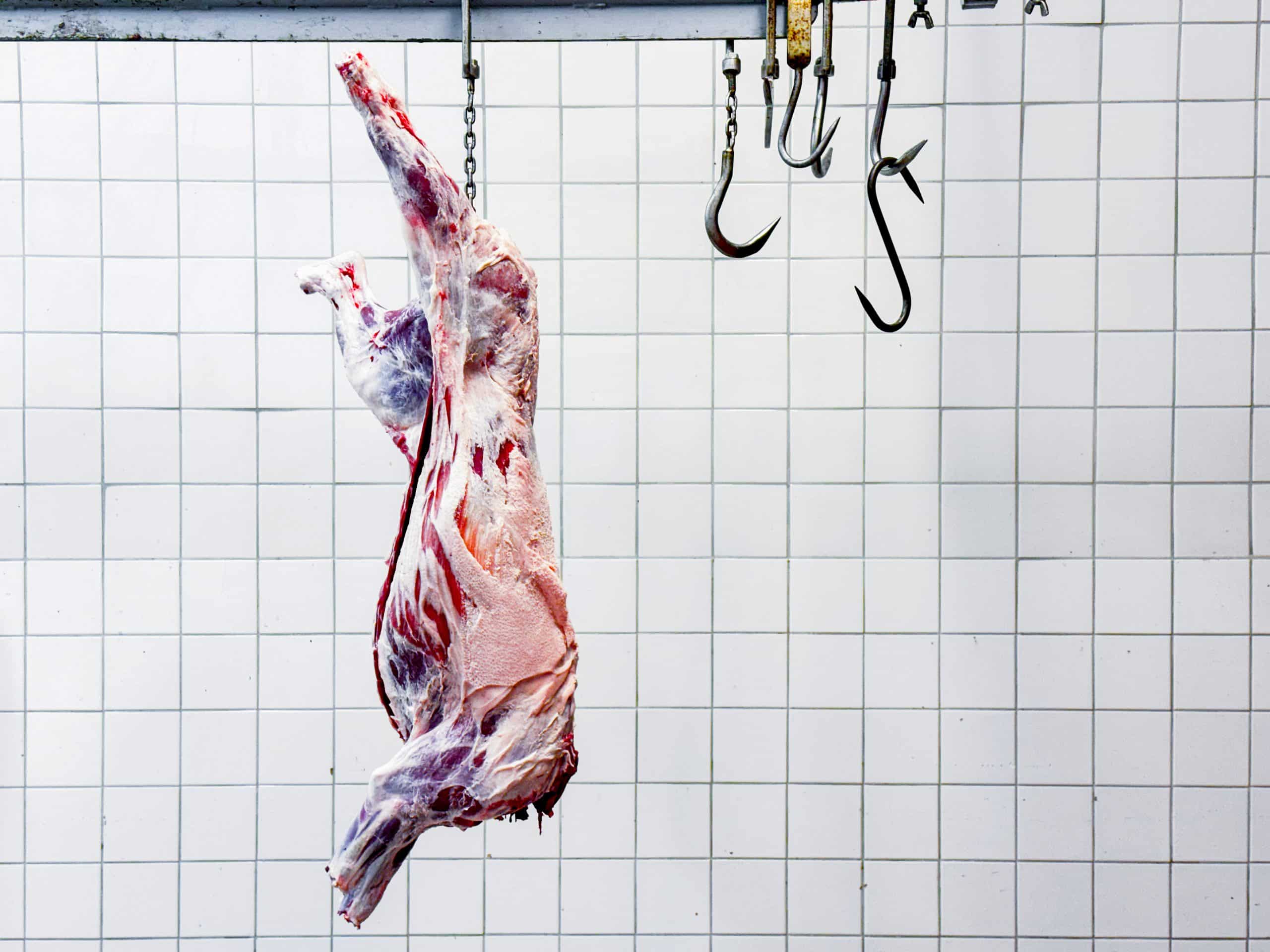 Många jaktlag har i dag bra lokaler för hantering och fförvaring, vilket kan medge försäljning. Foto: Per Jonson
