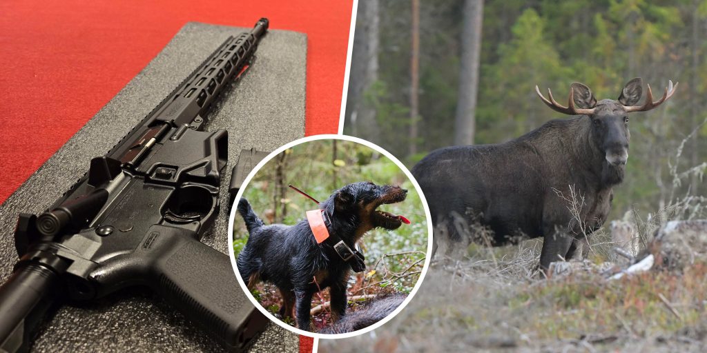 Jägareförbundets årsstämma har fattat beslut om 31 motioner. Foto: Per Jonson & Kenneth Johansson