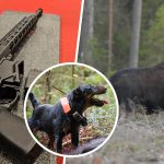 Jägareförbundets årsstämma har fattat beslut om 31 motioner. Foto: Per Jonson & Kenneth Johansson