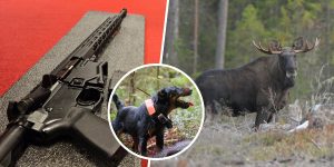 Jägareförbundets årsstämma har fattat beslut om 31 motioner. Foto: Per Jonson & Kenneth Johansson