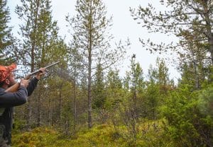För skogsfågeljägaren är stålhagel kanske det mest realistiska alternativet till bly, eftersom det kan gå åt en hel del ammunition när jakten går bra. Foto: Ulf Lindroth