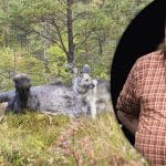 Jägareförbundets länsföreningar har tröttnat på höga fällavgifter