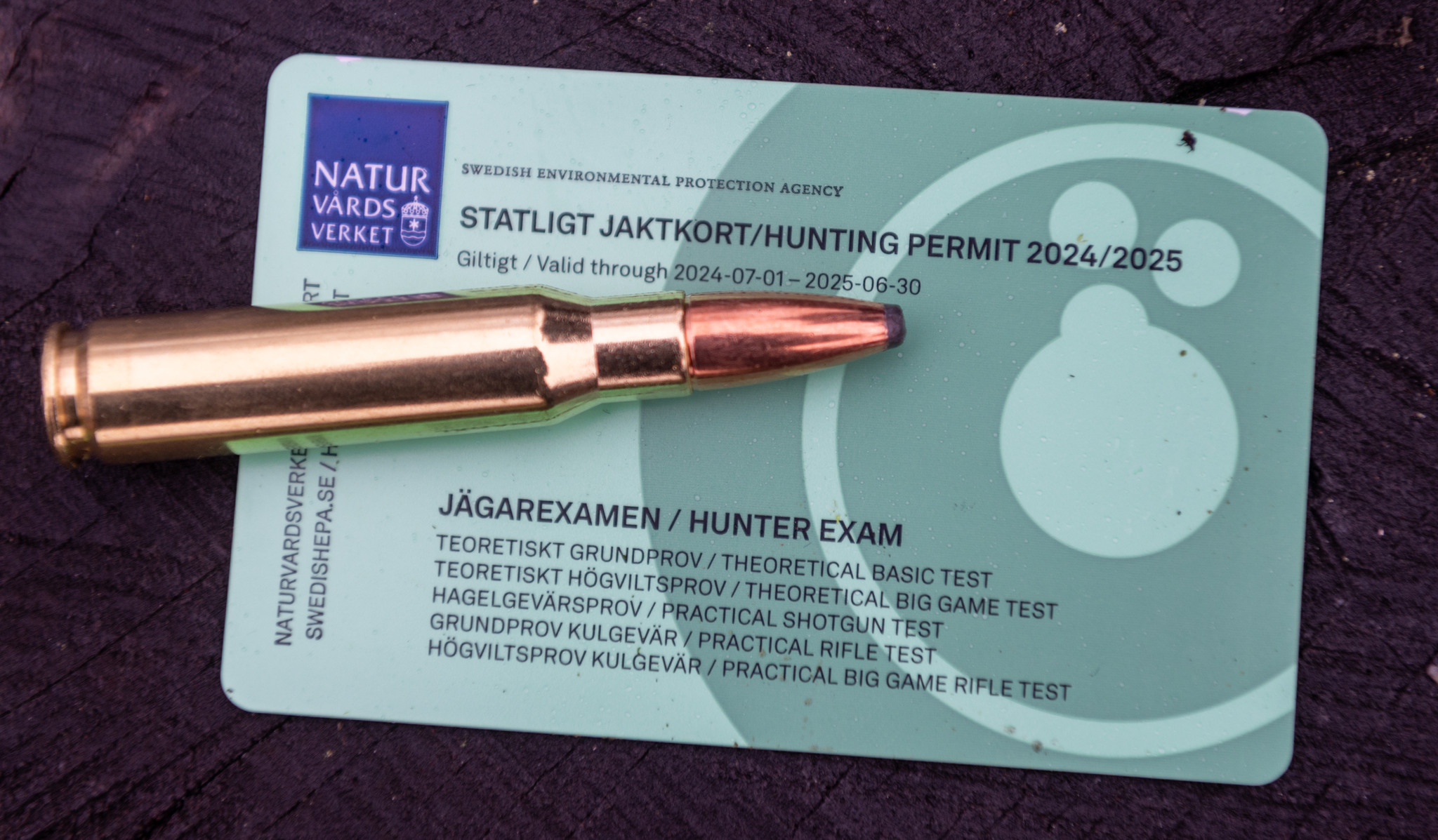 Lägsta antalet sålda statliga jaktkort sedan jaktåret 2005–2006. Foto: Jan Henricson