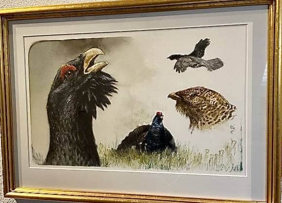 Original akvareller Rien Poortvliet