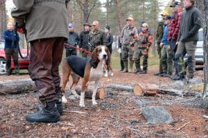 Det är stora variationer mellan åren över hur många som tar jägarexamen.