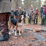 Nu har du som är ny jägare chansen att hänga med på jakt i Jämtland och Västernorrland.